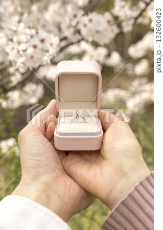  A couple proposing on a spring day 132600423