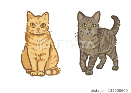 茶トラとキジトラの猫｜手描き風イラスト素材　 132600660