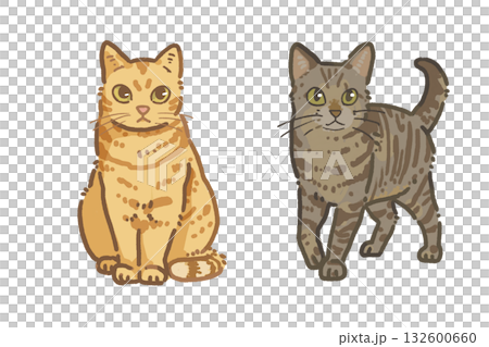 茶トラとキジトラの猫｜手描き風イラスト素材　 132600660