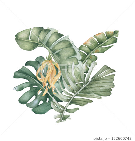 Bush of tropical leaves watercolor illustration in pastel green tones isolated. Monstera and areca palm fronds exotic plants hand painted. Lush foliage drawing for resort branding, tropical design. 132600742