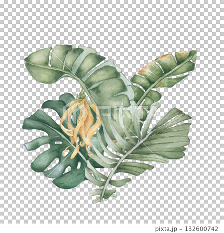 Bush of tropical leaves watercolor illustration in pastel green tones isolated. Monstera and areca palm fronds exotic plants hand painted. Lush foliage drawing for resort branding, tropical design. 132600742
