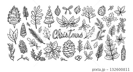 Set of isolated Christmas plant, vine and branch elements in black outline and white plain for holiday seasonal on transparent background. Set of isolated Christmas plant, vine and branch elements in black outline and white plain for holiday seasonal on transparent background. 132600811