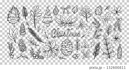 Set of isolated Christmas plant, vine and branch elements in black outline and white plain for holiday seasonal on transparent background. Set of isolated Christmas plant, vine and branch elements in black outline and white plain for holiday seasonal on transparent background. 132600811