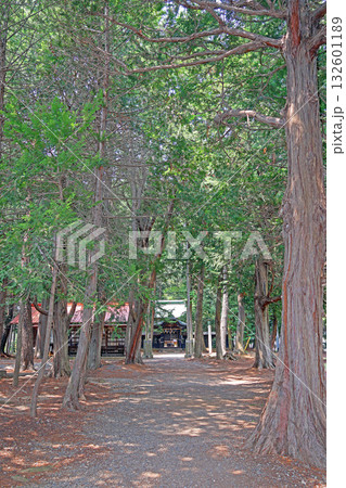 都波岐神社(松本) 都波岐神社(松本) 132601189