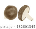 シンプルな椎茸のイラスト、白バック 132601345