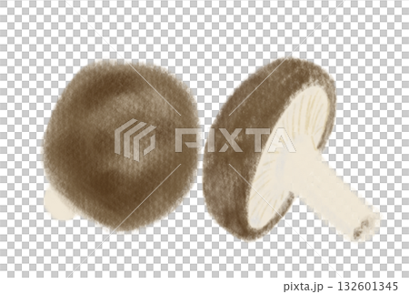 簡單的香菇插圖,白色背景 簡單的香菇插圖,白色背景 132601345