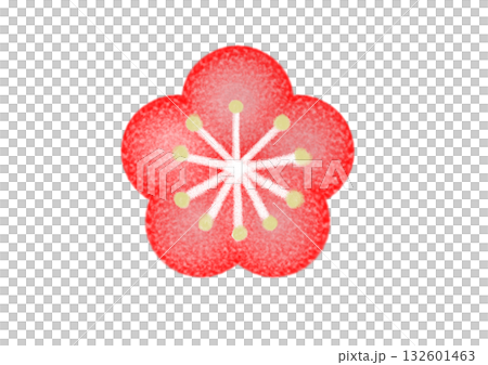 Plum blossoms (red) 132601463