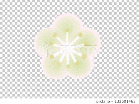 梅花（白色） 132601465