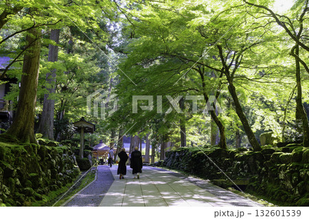 参道を行く僧侶 参道を行く僧侶 132601539