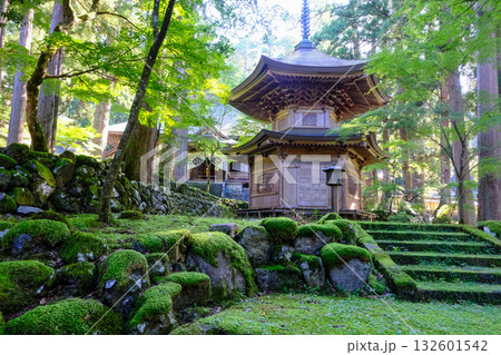 納経塔 納経塔 132601542