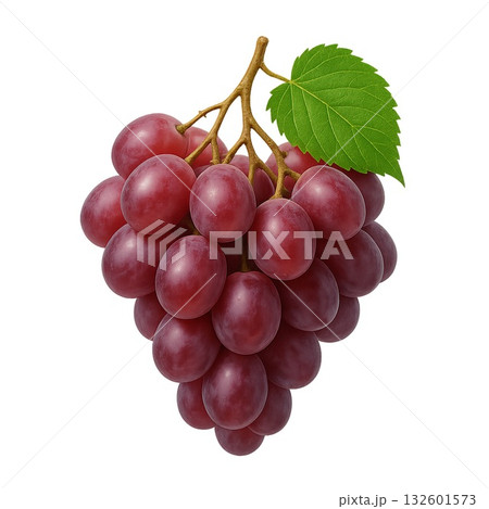 葡萄のリアルタッチな背景透過された切り抜きイラスト 葡萄のリアルタッチな背景透過された切り抜きイラスト 132601573