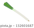 シンプルな長ネギのイラスト、白バック 132601687