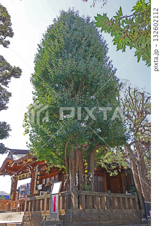 大鳥神社（目黑） 132602112
