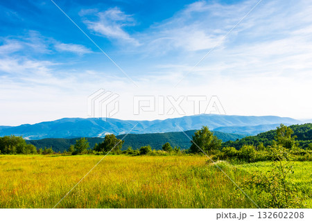 beautiful mountain landscape with green hills in summer. rural field on a sunny day. rolling countryside scenery of ukraine with blue sky. grassy pasture of alpine region of transcarpathia 132602208