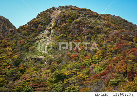 紅葉した山 紅葉した山 132602275