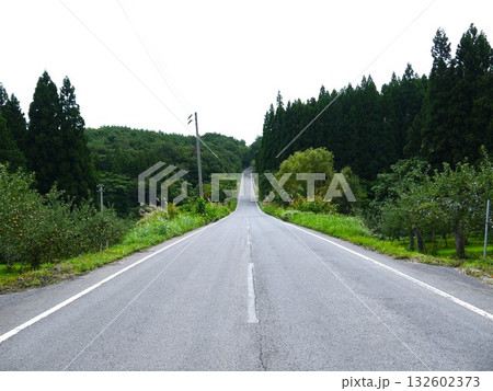 まっすぐな道 まっすぐな道 132602373