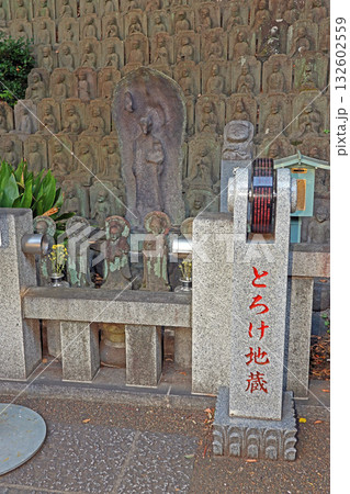 大圓寺（目黑） 132602559