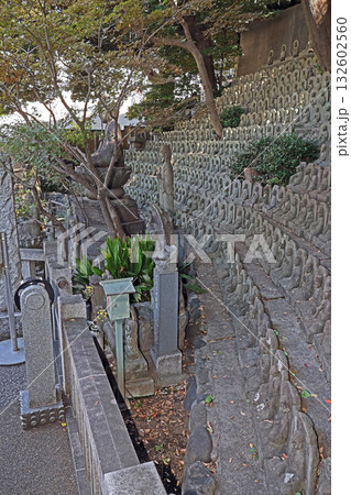 大圓寺（目黑） 132602560