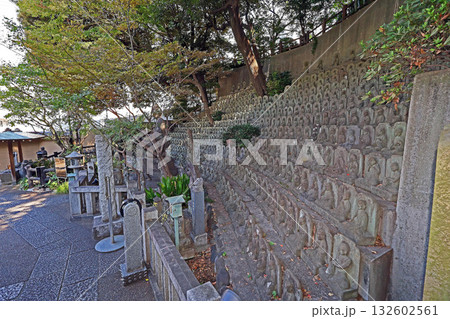 大圓寺(目黑) 大圓寺(目黑) 132602561