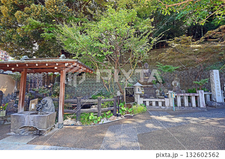 大圓寺（目黑） 132602562