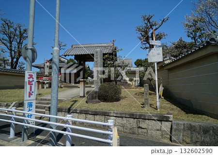碧い空と桜の香積院 碧い空と桜の香積院 132602590
