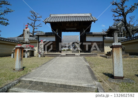 碧い空と桜の香積院 碧い空と桜の香積院 132602592