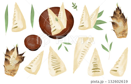 タケノコ(おせちや和食の食材として)のイラスト素材セット タケノコ(おせちや和食の食材として)のイラスト素材セット 132602619