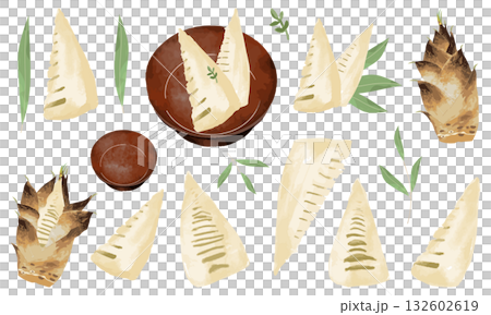 タケノコ(おせちや和食の食材として)のイラスト素材セット タケノコ(おせちや和食の食材として)のイラスト素材セット 132602619