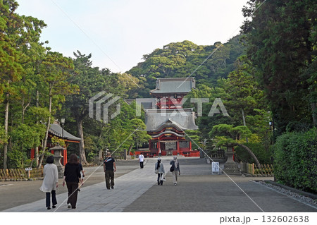 鶴岡八幡宮 鶴岡八幡宮 132602638