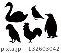 色んな鳥のシルエットイラスト素材、ペンギン、白鳥、オカメインコ、ヨウム、ニワトリ 132603042