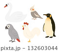 色んな鳥のイラスト素材、ペンギン、白鳥、オカメインコ、ヨウム、ニワトリ 132603044