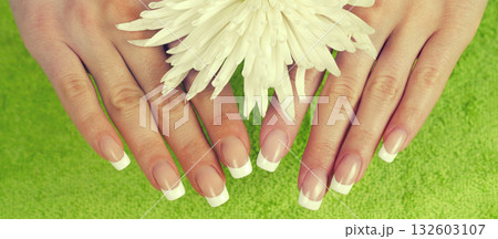 Beautiful female hands with perfect French manicure holding chrysanthemum flower Horizontal banner Beautiful female hands with perfect French manicure holding chrysanthemum flower Horizontal banner 132603107