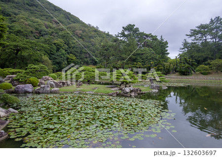 国指定特別名勝【栗林公園】　りつりんこうえん　Ritsurin Garden　（香川県高松市） 132603697