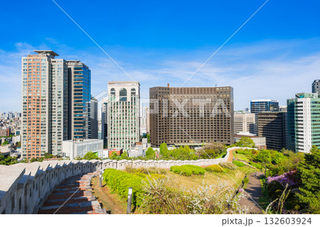 ソウル　春の南山公園 132603924