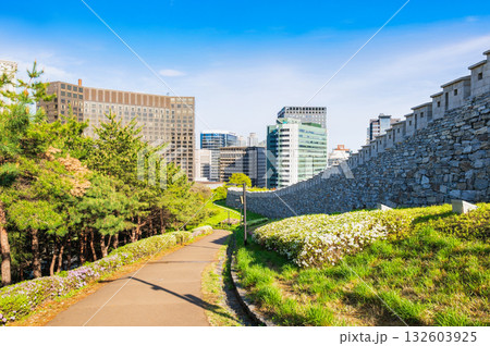 ソウル 春の南山公園 ソウル 春の南山公園 132603925