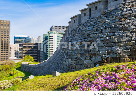 ソウル 春の南山公園 ソウル 春の南山公園 132603926