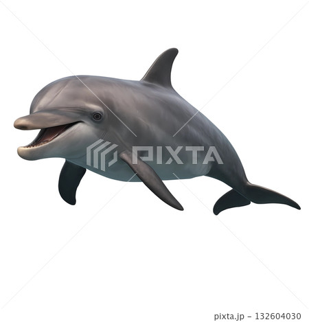 vector illustration of a blue dolphins, isolated on white vector illustration of a blue dolphins, isolated on white 132604030