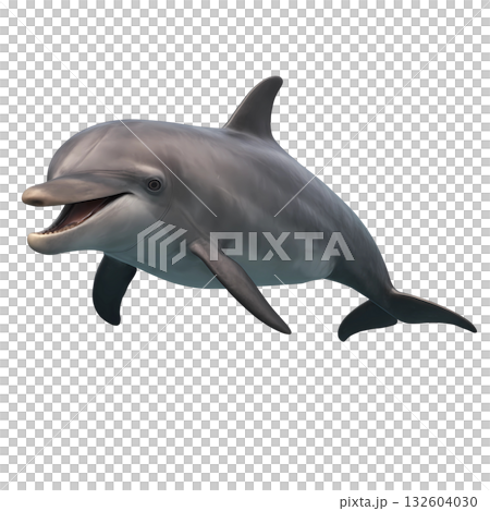 vector illustration of a blue dolphins, isolated on white vector illustration of a blue dolphins, isolated on white 132604030