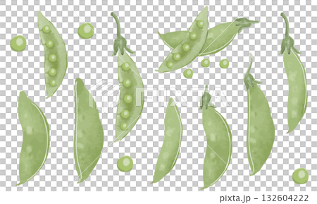 水彩の手描き風エンドウ豆素材セット(スナップエンドウ、絹さや、グリーンピース) 水彩の手描き風エンドウ豆素材セット(スナップエンドウ、絹さや、グリーンピース) 132604222