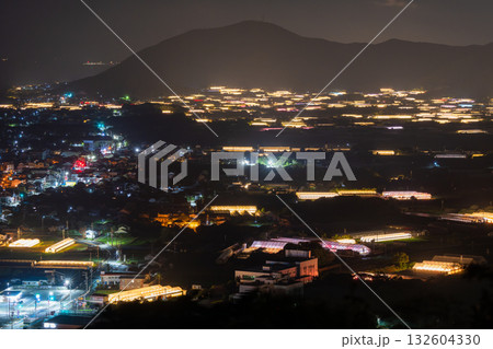 《愛知県》電照菊・ビニールハウスが輝く夜景 132604330