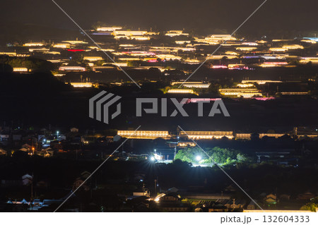 《愛知県》電照菊・ビニールハウスが輝く夜景 《愛知県》電照菊・ビニールハウスが輝く夜景 132604333