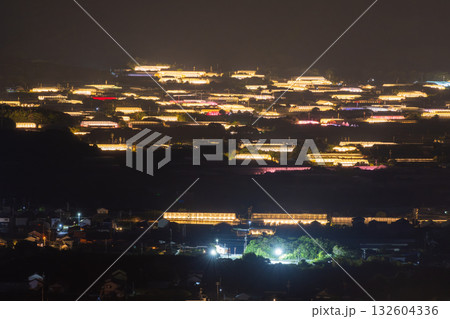 《愛知県》電照菊・ビニールハウスが輝く夜景 《愛知県》電照菊・ビニールハウスが輝く夜景 132604336