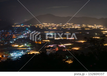 《愛知県》電照菊・ビニールハウスが輝く夜景 132604337