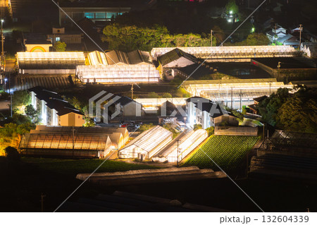 《愛知県》電照菊・ビニールハウスが輝く夜景 132604339
