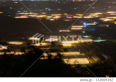 《愛知県》電照菊・ビニールハウスが輝く夜景 132604342