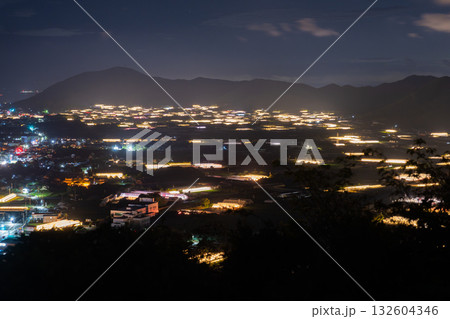 《愛知県》電照菊・ビニールハウスが輝く夜景 132604346