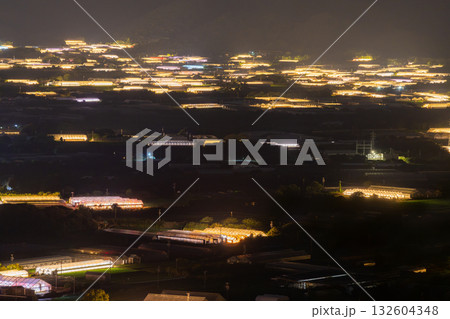 《愛知県》電照菊・ビニールハウスが輝く夜景 132604348