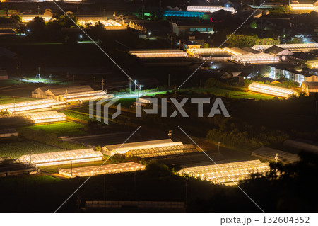 《愛知県》電照菊・ビニールハウスが輝く夜景 132604352