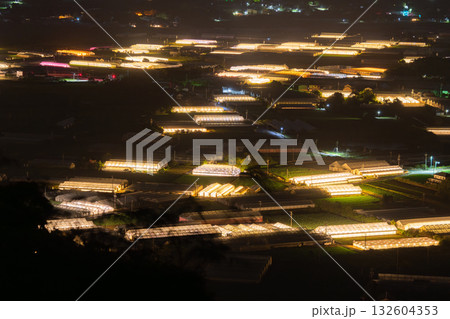 《愛知県》電照菊・ビニールハウスが輝く夜景 132604353