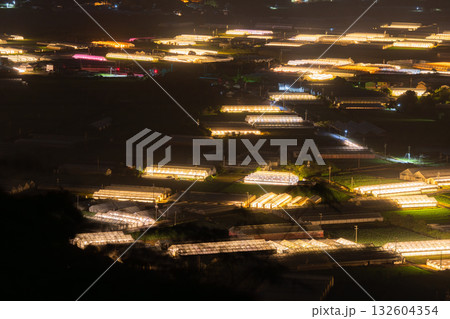 《愛知県》電照菊・ビニールハウスが輝く夜景 132604354
